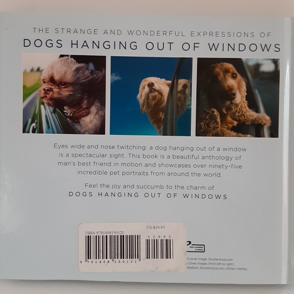 Dogs Hanging out of Windows - Picture 2 of 11